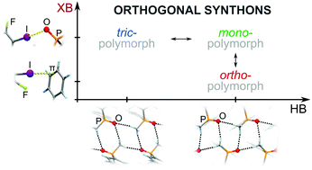 Graphical abstract: Cocrystal trimorphism as a consequence of the orthogonality of halogen- and hydrogen-bonds synthons