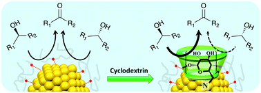 Graphical abstract: Asymmetric aerobic oxidation of secondary alcohols catalyzed by poly(N-vinyl-2-pyrrolidone)-stabilized gold clusters modified with cyclodextrin derivatives