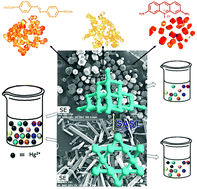 Graphical abstract: Porous functionalized MOF self-evolution promoting molecule encapsulation and Hg2+ removal