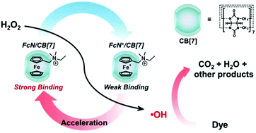 Graphical abstract: Cucurbit[7]uril promoted Fenton oxidation by modulating the redox property of catalysts