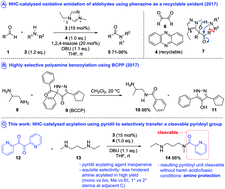 Graphical abstract: Highly chemoselective, sterically sensitive NHC-catalysed amine acylation with pyridil