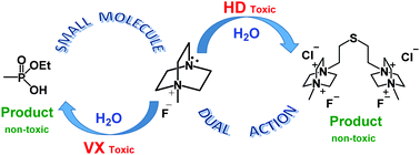 Graphical abstract: Effective neutralization of chemical warfare agents (HD, VX) by Me-DABCOF: a small molecule with dual action