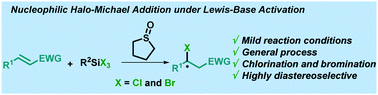 Graphical abstract: Nucleophilic halo-Michael addition under Lewis-base activation