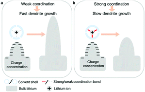 Graphical abstract: Suppressing lithium dendrite formation by slowing its desolvation kinetics