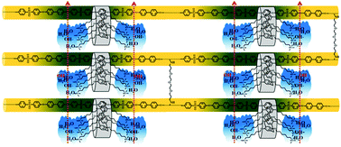 Graphical abstract: Poly(arylene ether sulfone) crosslinked networks with pillar[5]arene units grafted by multiple long-chain quaternary ammonium salts for anion exchange membranes