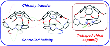 Graphical abstract: Chirality transfer in a cage controls the clockwise/anticlockwise propeller arrangement of the tris(2-pyridylmethyl)amine ligand