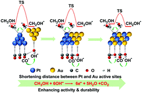 Graphical abstract: Regulating locations of active sites: a novel strategy to greatly improve the stability of PtAu electrocatalysts