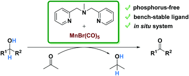 Graphical abstract: Transfer-dehydrogenation of secondary alcohols catalyzed by manganese NNN-pincer complexes