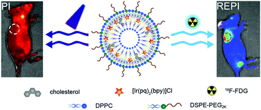 Graphical abstract: Iridium complex nanoparticle mediated radiopharmaceutical-excited phosphorescence imaging