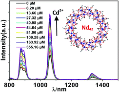 Graphical abstract: Large Ln42 coordination nanorings: NIR luminescence sensing of metal ions and nitro explosives