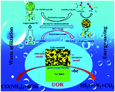 Graphical abstract: A facile oxidation–dehydration reaction-driven robust porous copper oxide nanobelt coating on copper foam for an energy-saving and low-cost urea oxidization reaction