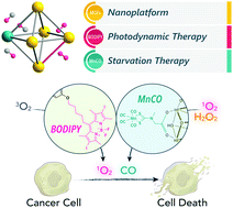 Graphical abstract: A nanoscale metal–organic framework for combined photodynamic and starvation therapy in treating breast tumors
