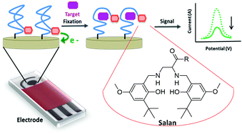Graphical abstract: Salen/salan metallic complexes as redox labels for electrochemical aptasensors