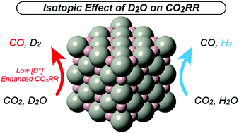 Graphical abstract: Isotopic effect on electrochemical CO2 reduction activity and selectivity in H2O- and D2O-based electrolytes over palladium