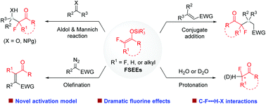 Graphical abstract: Catalytic selective mono- and difluoroalkylation using fluorinated silyl enol ethers