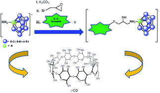 Graphical abstract: Versatile, one-pot introduction of nonahalogenated 2-ammonio-decaborate ions as boron cluster scaffolds into organic molecules; host–guest complexation with γ-cyclodextrin