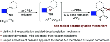 Graphical abstract: A cascade approach to 3D cyclic carbamates via an ionic decarboxylative functionalization of olefinic oxamic acids