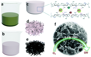 Graphical abstract: A novel Mn/Co dual nanoparticle decorated hierarchical carbon structure derived from a biopolymer hydrogel as a highly efficient electro-catalyst for the oxygen reduction reaction