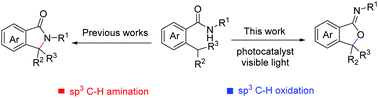 Graphical abstract: Visible-light-induced intramolecular sp3 C–H oxidation of 2-alkyl-substituted benzamides for the synthesis of functionalized iminoisobenzofurans
