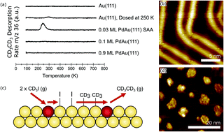 Graphical abstract: Efficient and selective carbon–carbon coupling on coke-resistant PdAu single-atom alloys
