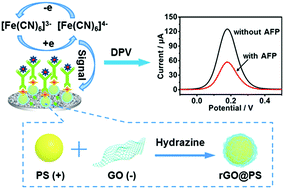 Graphical abstract: Facile synthesis of novel reduced graphene oxide@polystyrene nanospheres for sensitive label-free electrochemical immunoassay