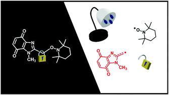 Graphical abstract: Visible-light unmasking of heterocyclic quinone methide radicals from alkoxyamines