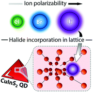 Graphical abstract: Influence of halide ions on the structure and properties of copper indium sulphide quantum dots