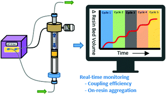 Graphical abstract: Real-time monitoring of solid-phase peptide synthesis using a variable bed flow reactor