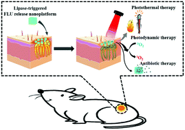 Graphical abstract: A lipase-responsive antifungal nanoplatform for synergistic photodynamic/photothermal/pharmaco-therapy of azole-resistant Candida albicans infections