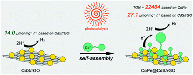 Graphical abstract: A biomimetic self-assembled cobaloxime@CdS/rGO hybrid for boosting photocatalytic H2 production