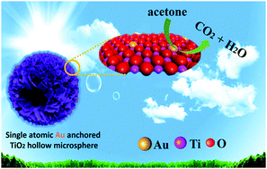 Graphical abstract: Single atomic Au induced dramatic promotion of the photocatalytic activity of TiO2 hollow microspheres