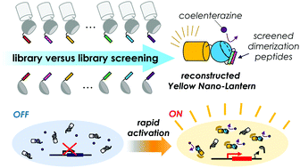 Graphical abstract: An improved fluorescent protein-based expression reporter system that utilizes bioluminescence resonance energy transfer and peptide-assisted complementation