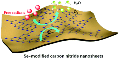 Graphical abstract: Fluorescent Se-modified carbon nitride nanosheets as biomimetic catalases for free-radical scavenging