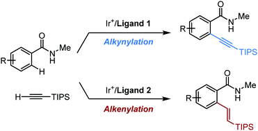 Graphical abstract: Iridium-catalyzed, ligand-controlled directed alkynylation and alkenylation of arenes with terminal alkynes