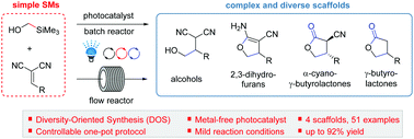 Graphical abstract: Controllable one-pot synthesis for scaffold diversity via visible-light photoredox-catalyzed Giese reaction and further transformation