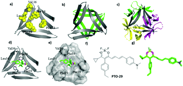 Graphical abstract: Highly specific detection of Aβ oligomers in early Alzheimer's disease by a near-infrared fluorescent probe with a “V-shaped” spatial conformation