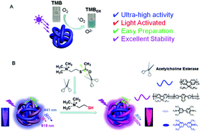 Graphical abstract: Light-activated semiconducting polymer dots as mimic oxidases with remarkable catalytic efficiency: characteristics, mechanisms, and applications