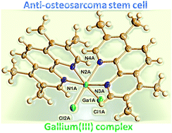Graphical abstract: Gallium(iii)-polypyridyl complexes as anti-osteosarcoma stem cell agents