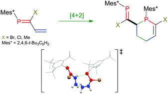 Graphical abstract: Diels–Alder reactions of 1-phosphabutadienes: a highly selective route to P [[double bond, length as m-dash]] C-substituted phosphacyclohexenes