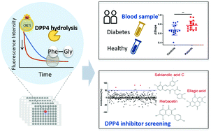 Graphical abstract: A novel label-free fluorescence assay for dipeptidyl peptidase 4 activity detection based on supramolecular self-assembly