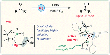 Graphical abstract: Borohydride intermediates pave the way for magnesium-catalysed enantioselective ketone reduction