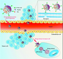 Graphical abstract: Synthesis of a functionalized dipeptide for targeted delivery and pH-sensitive release of chemotherapeutics