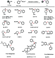 Graphical abstract: Direct photochemical cross-coupling between aliphatic acids and BF3K salts