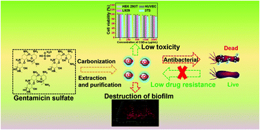 Graphical abstract: Low-toxicity carbon quantum dots derived from gentamicin sulfate to combat antibiotic resistance and eradicate mature biofilms