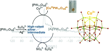 Graphical abstract: Stabilisation of high-valent Cu3+ in a Keggin-type polyoxometalate