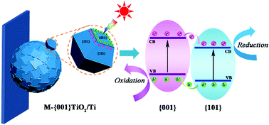 Graphical abstract: In situ growth of M-{001}TiO2/Ti photoelectrodes: synergetic dominant {001} facets and ratio-optimal surface junctions for the effective oxidation of environmental pollutants
