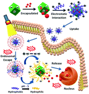 Graphical abstract: Construction of an iridium(iii)-complex-loaded MOF nanoplatform mediated with a dual-responsive polycationic polymer for photodynamic therapy and cell imaging
