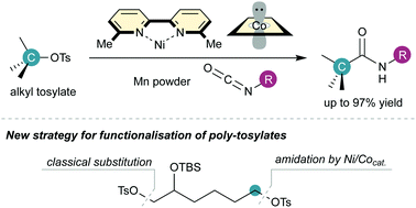 Graphical abstract: Reductive amidation of alkyl tosylates with isocyanates by a Ni/Co-dual catalytic system