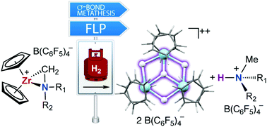 Graphical abstract: H2 activation by zirconaziridinium ions: σ-bond metathesis versus frustrated Lewis pair reactivity