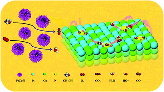Graphical abstract: Dual-modulation of electronic structure and active sites of PtCu nanodendrites by surface nitridation to achieve efficient methanol electrooxidation and oxygen reduction reaction